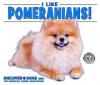 Cover image of I like pomeranians!