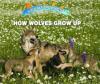 Cover image of How wolves grow up