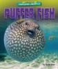 Cover image of Puffer fish