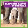 Cover image of Elephant calves in the wild