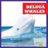 Cover image of Beluga whales