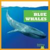 Cover image of Blue whales