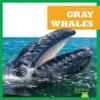 Cover image of Gray whales