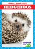 Cover image of Hedgehogs