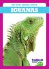 Cover image of Iguanas