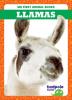 Cover image of Llamas