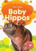 Cover image of Baby hippos