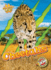 Cover image of Cheetahs