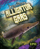 Cover image of Alligator gars