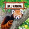 Cover image of Red panda