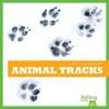 Cover image of Animal tracks