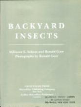 Cover image of Backyard insects