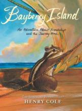 Cover image of Bayberry Island