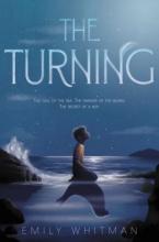 Cover image of The turning