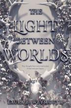 Cover image of The light between worlds