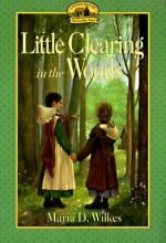 Cover image of Little clearing in the woods