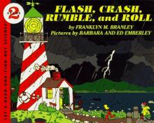 Cover image of Flash, crash, rumble, and roll