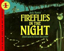 Cover image of Fireflies in the night