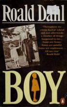 Cover image of Boy