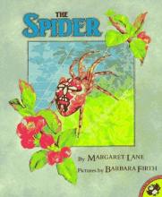 Cover image of The spider