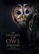 Cover image of The enigma of the owl