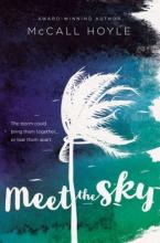 Cover image of Meet the sky