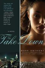 Cover image of The take down