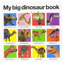 Cover image of My big dinosaur book