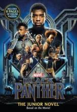 Cover image of Black Panther