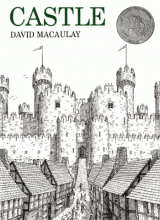 Cover image of Castle