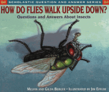 Cover image of How do flies walk upside down?