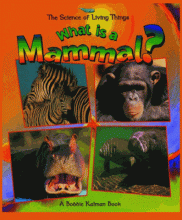 Cover image of What is a mammal?