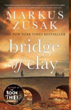 Cover image of Bridge of Clay