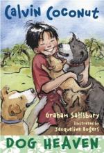 Cover image of Calvin Coconut