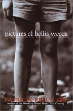 Cover image of Pictures of Hollis Woods