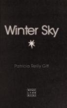 Cover image of Winter sky