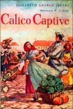 Cover image of Calico Captive