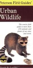 Cover image of Peterson first guide to urban wildlife