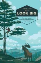 Cover image of Look big