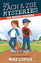 Cover image of The missing baseball