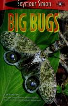 Cover image of Big bugs