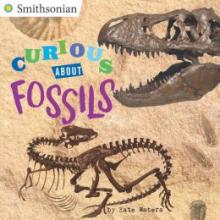 Cover image of Curious about fossils