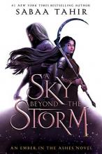 Cover image of A sky beyond the storm