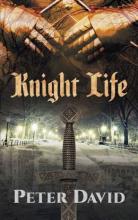 Cover image of Knight life