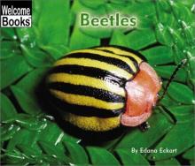 Cover image of Beetles