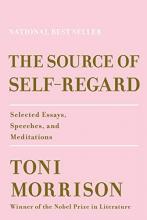 Cover image of The source of self-regard