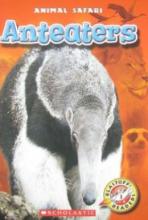 Cover image of Anteaters