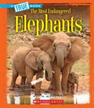 Cover image of Elephants