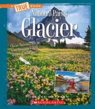 Cover image of Glacier