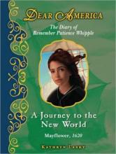 Cover image of A journey to the New World